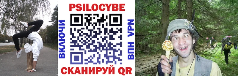 Псилоцибиновые грибы Psilocybe Никольское