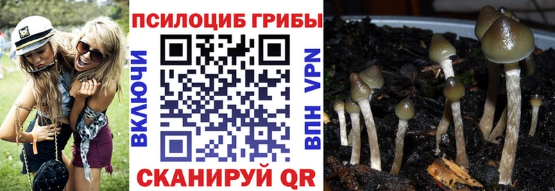 Галлюциногенные грибы GOLDEN TEACHER  hydra как зайти  Никольское 