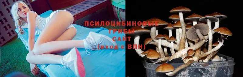 Псилоцибиновые грибы MAGIC MUSHROOMS  Никольское 